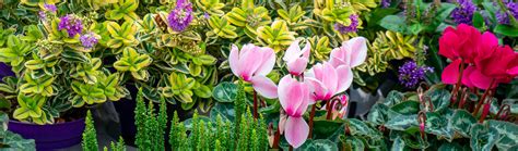 Maybe you would like to learn more about one of these? Großes Gartencenter in Wedel | Lüchau Bauzentrum - Lüchau ...