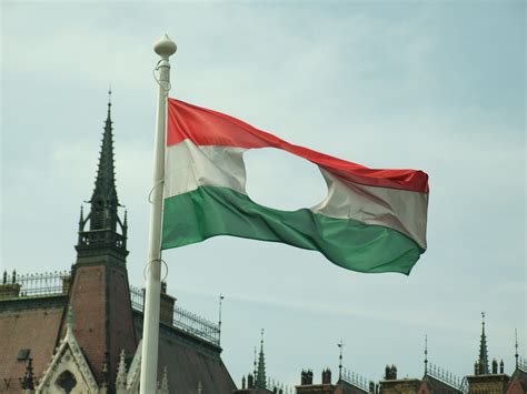 The Flag Of The Hungarian Revolution In 1956 Which Had The Communist