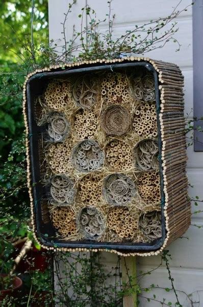 Amazing Ways To Attract Endless Wildlife To Your Backyard