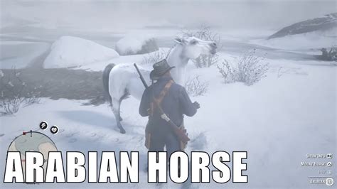 Red Dead Redemption 2 Arabian Horse Location Elite Horse Youtube