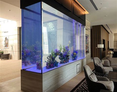 7 Desain Aquarium Minimalis Hunian Jadi Tampak Mewah Haqeem Group