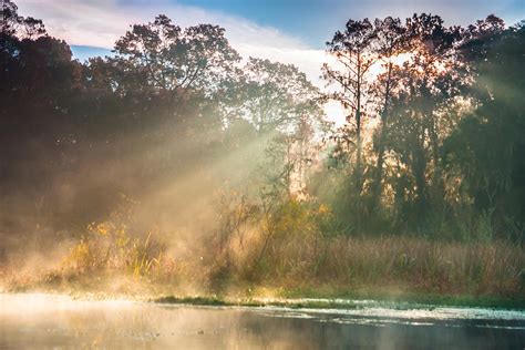 Goose Creek Sun Rays Photograph By Marc Crumpler Fine Art America