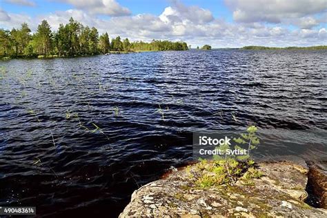 Karelian Landscape Lake Pongoma North Karelia Russia Stock Photo