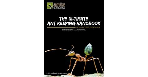 The Ultimate Ant Keeping Handbook By Mikey Bustos