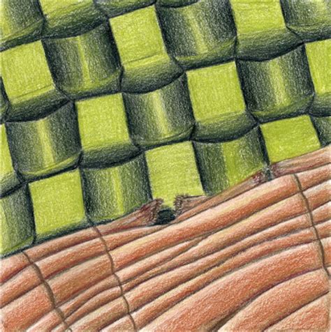 EandPbyAKA: Texture/Contrast: Contrasting textures