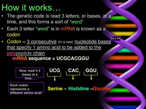 PPT - Ch. 12 - DNA PowerPoint Presentation, free download ...