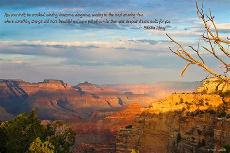 If you have not touched the rocky wall of a canyon. Canyon Quotes. QuotesGram