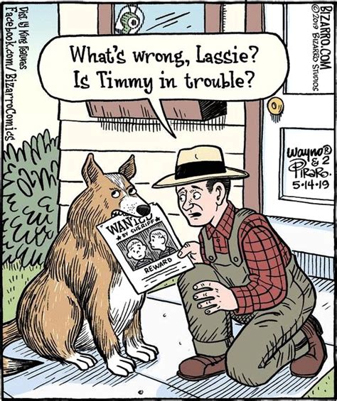 Lassie Whats Wrong Yoda Funny Funny Animal Jokes Good Cartoons