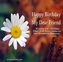 51 Best Friend Birthday Quotes, Sayings, Pictures & Photos | PICSMINE
