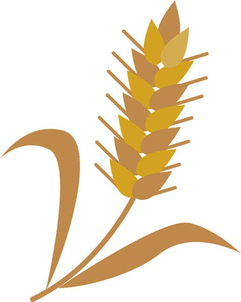 Wheat Cereal Grain Clipart Free Download Transparent Png Creazilla