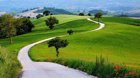 Beautiful Road Between Green Grass Plants Slope Field Trees Nature Hd