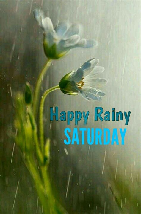 Rainy Morning Quotes Good Morning Rainy Day Rainy Saturday Good