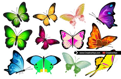 Vector Butterfly Collection Creative Alys