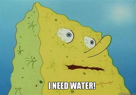 i need water dehydrated spongebob quickmeme