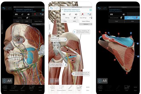 11 Best Anatomy Apps For Medical Students Free And Paid Willpeachmd
