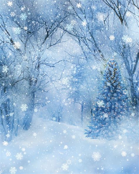 26 Beautiful Winter Wonderland Wallpapers Wallpapersafari