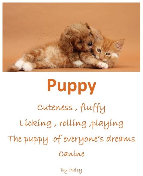 Puppy Dog Poems