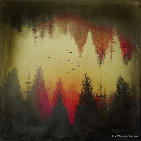 Distorted Landscape 4 Forest Reflection By Dirk Wuestenhagen