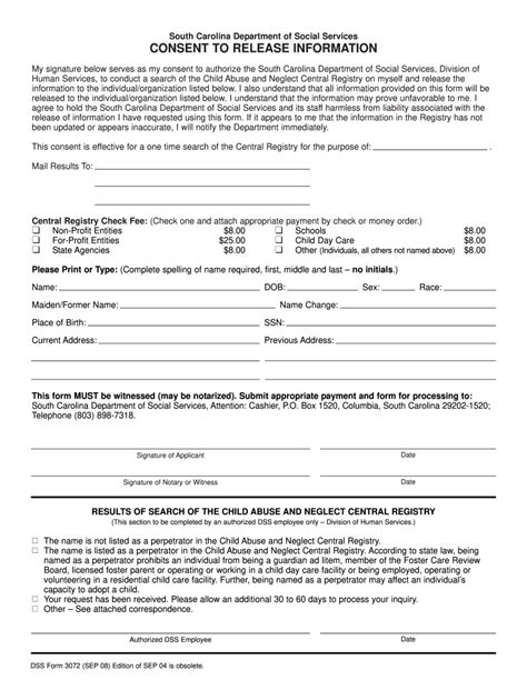 Sc Dss Form 2008 Fill Out And Sign Online Dochub