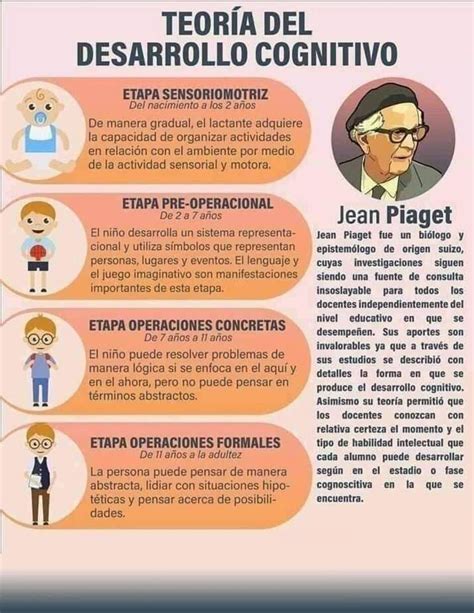 Infografia Etapas Del Desarrollo Cognitivo Etapas Del Desarrollo Unamed