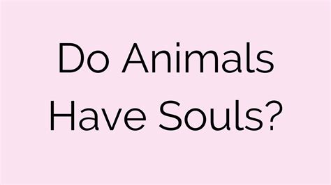 Do Animals Have A Soul Animal Communication With Tracy Pierce