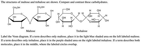Solved The Structures Of Maltose And Trehalose Are Shown