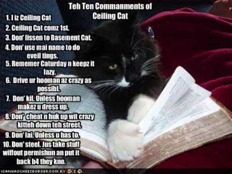 Ceiling cat and the corresponding basement cat (a black cat who lives in the basement) represent good and evil in the lolcat universe, and in some cases god and satan, as in the lolcat bible. An LOLcat War, Ceiling Cat vs Basement Cat - YouTube