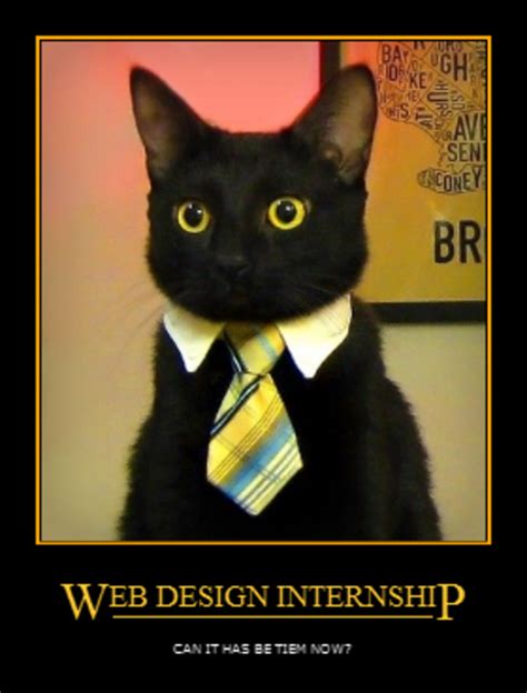 Image 146147 Business Cat Know Your Meme
