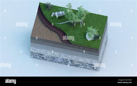 Piece Of Land Showing Soil Layers Vegetation And Cattle Top View Stock