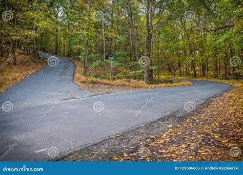 Two Roads Stock Image Image Of Woods Nature Hill 129596665