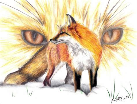 Red Fox Pencil Drawings