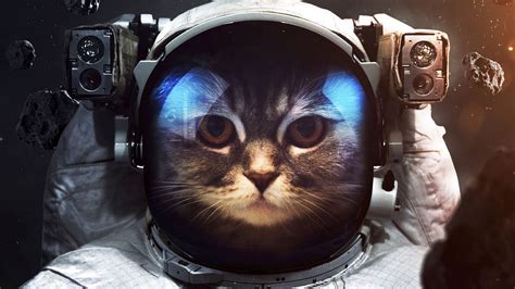 Download Wallpaper 1920x1080 Cat Cosmonaut Space Suit