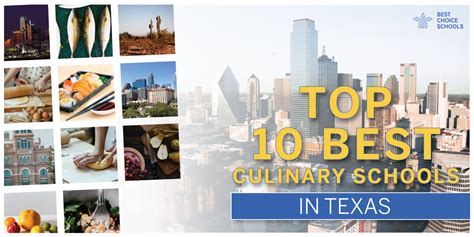 Top 10 Best Culinary Schools In Texas 2021 Best Choice Schools