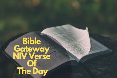 Bible Gateway Niv Verse Of The Day