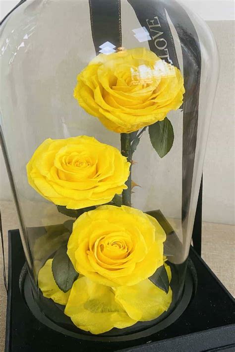 Forever Rose 3 In Glass Dome Yellow Preserved And Dried Flower