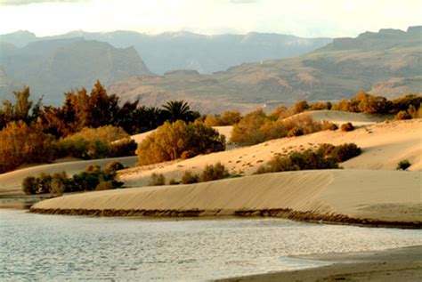 Günstig urlaub machen mit frühbucherrabatten wenn sie bereits lange im voraus wissen, wann und wohin sie reisen wollen. Gran Canaria Urlaub buchen > Lastminute & Pauschalreise ...
