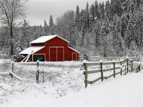 Winter Barns Backgrounds Related