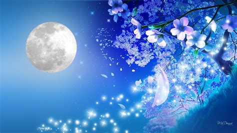 21 Anime Night Sky Moonlight Night Cherry Blossom Wallpaper