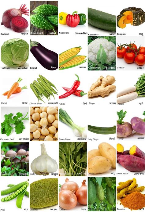 Maintaining a healthy and balanced diet is very important during the period of pregnancy as it helps both the mother and the baby to stay healthy! Vegetables Name in Hindi | सब्जियों के नाम हिंदी और ...