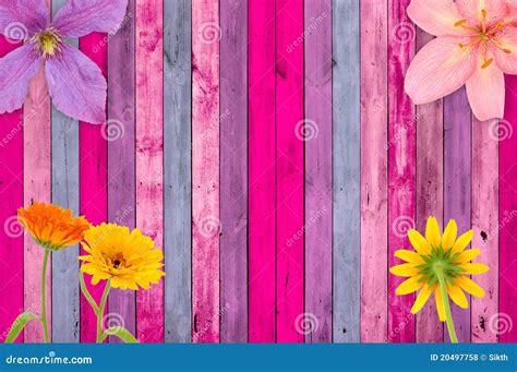 Pink Wood Background With Flowers Royalty Free Stock Photos Image