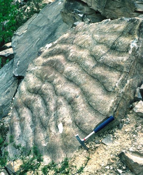 Ripple Marks Formed By A Current In A Sandstone That Was Later Tilted