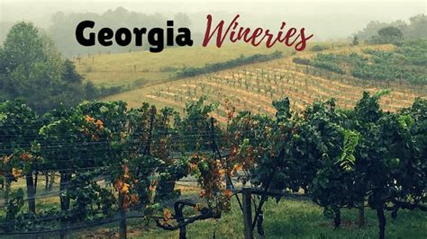 6 Must Visit Wineries In North Georgia6 Must Visit Wineries In North