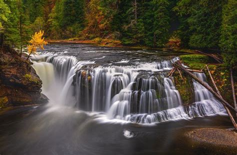 Lower Lewis Falls Autumn Ford Pinchot National Forest Landscape