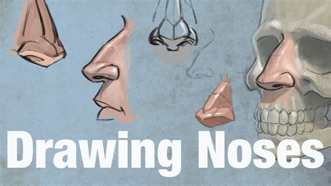 How To Draw Noses By Aaron Blaise Blogwebsite