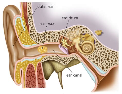 Each maneuver involves moving the head in certain directions to guide the crystals out of the affected inner ear canal. Cause of Hearing Loss - by Crystal Hearing