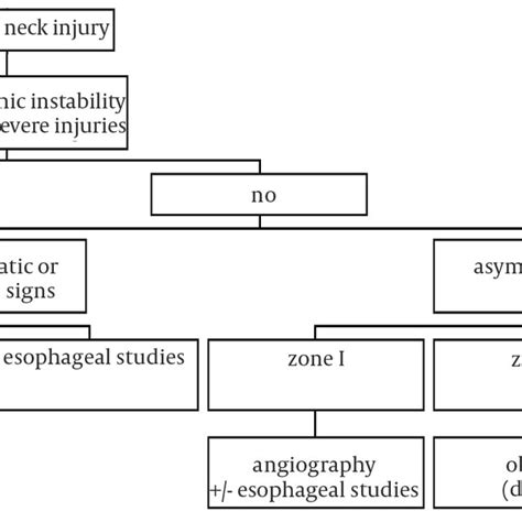 Algorithm For The Evaluation And Management Of Cervical Wounds