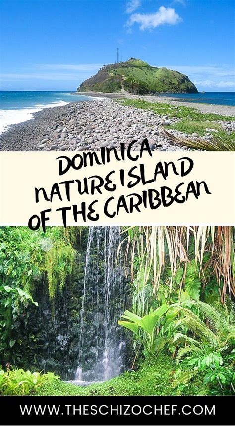 dominica nature island of the caribbean perfect for hikers and nature enthusiasts travel