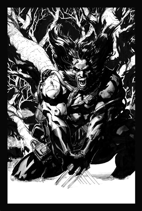 Wolverine Weapon X In Paul Mcinness Carlos Danda Comic Art Gallery