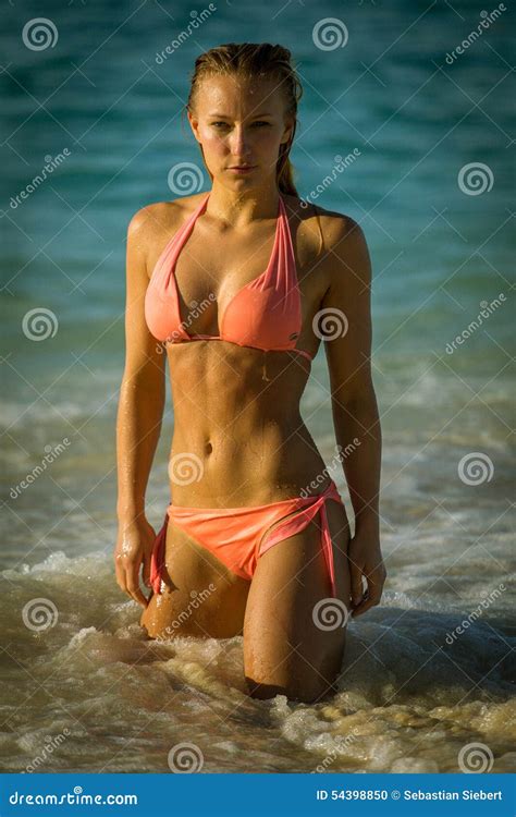 Bikini Girl Looks Self Confident Stock Photo Image Of Looks Bahamas
