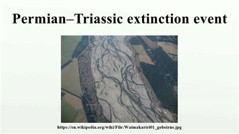 Permian Triassic Extinction Event